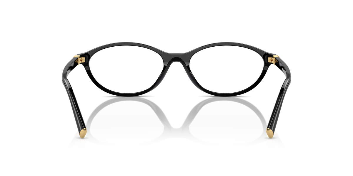 Miu Miu MU 09XV eyeglasses, back view