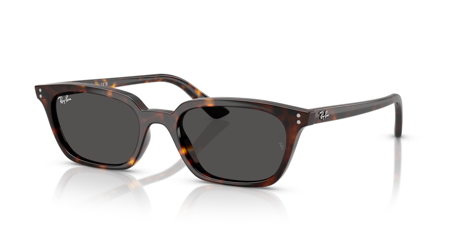 Ray-Ban Zaya sunglasses, front view